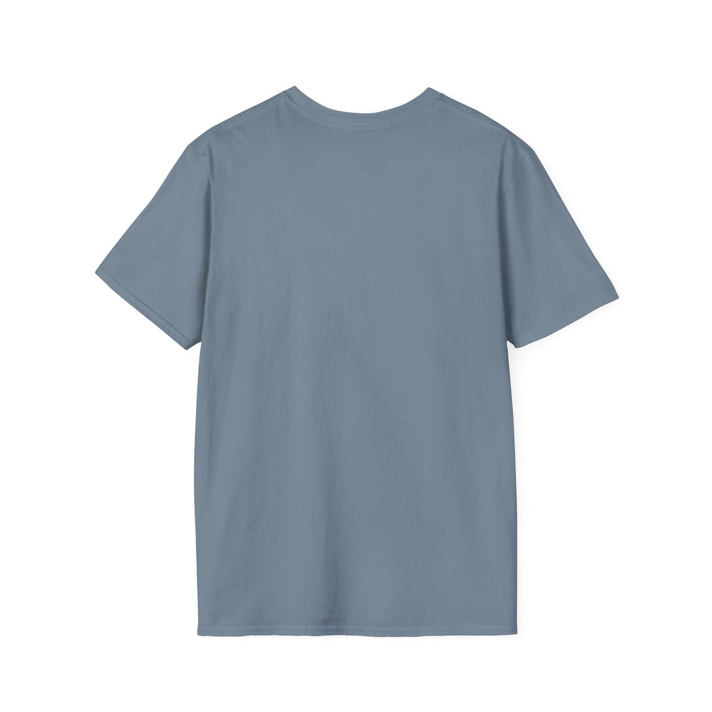 CE 3rd Kind Movie Poster in a Unisex Softstyle T-Shirt
