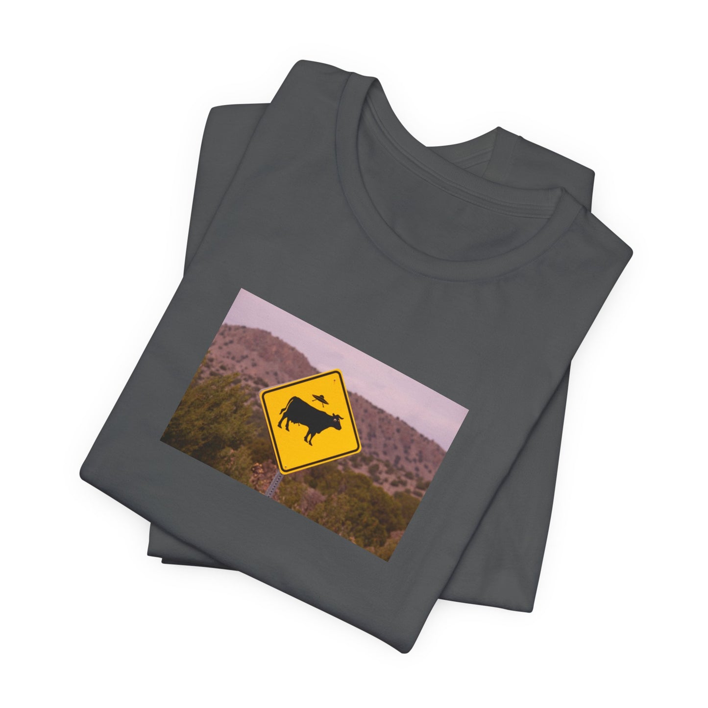 UFO/Cow crossing Tee